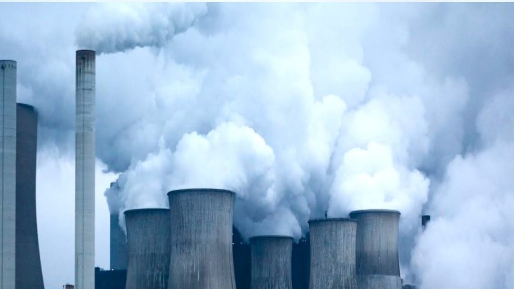 İklim Değişim Hizmetleri - Biyojenik CO2 Emisyonları