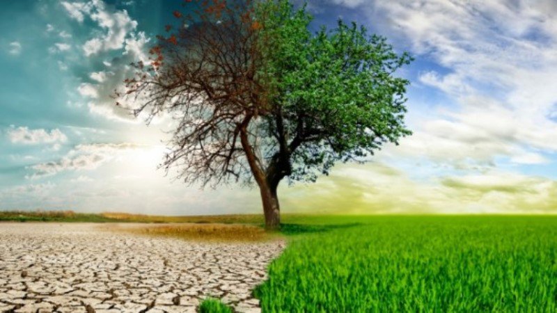 İklim Değişim Hizmetleri - İsteğe Bağlı Aktiviteler ve Diğer Projeler
