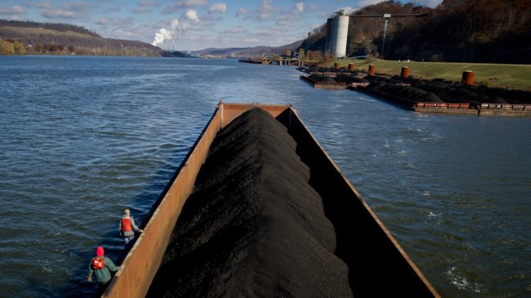 Kömür - Yük ve Gemi Hizmetleri - Tehlikeli Atık Ürünlerinin Yeniden Paketlenmesi