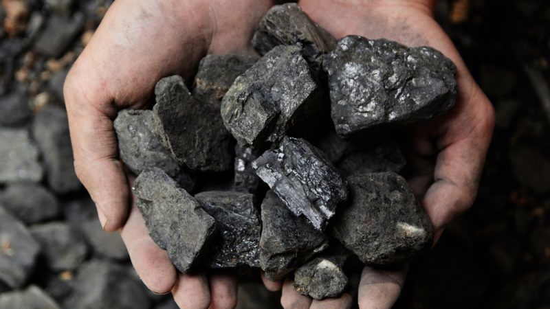 Kömür ve Kok Analizleri - Kömür Petrografisi